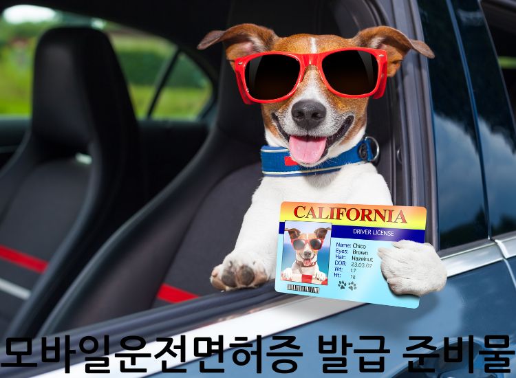 모바일운전면허증 발급 준비물