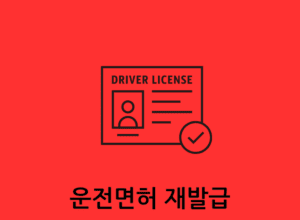 운전면허증 재발급